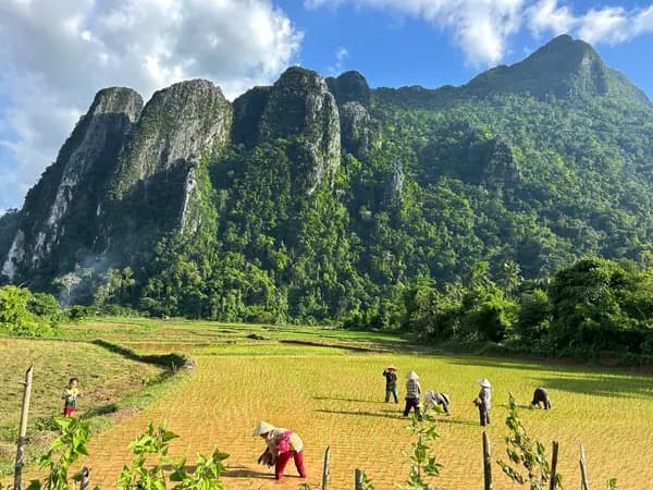 טאט לו - מפלים וטרקים באזור הבולאוון של לאוס
