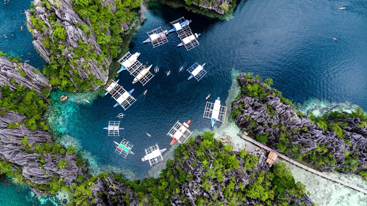 פוארטו פרינססה ופורט ברטון - שער הכניסה לפלאוון